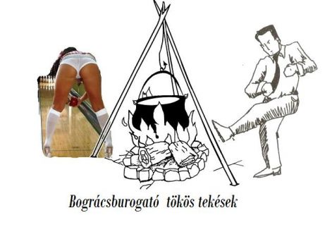 tokos_tekesek.jpg